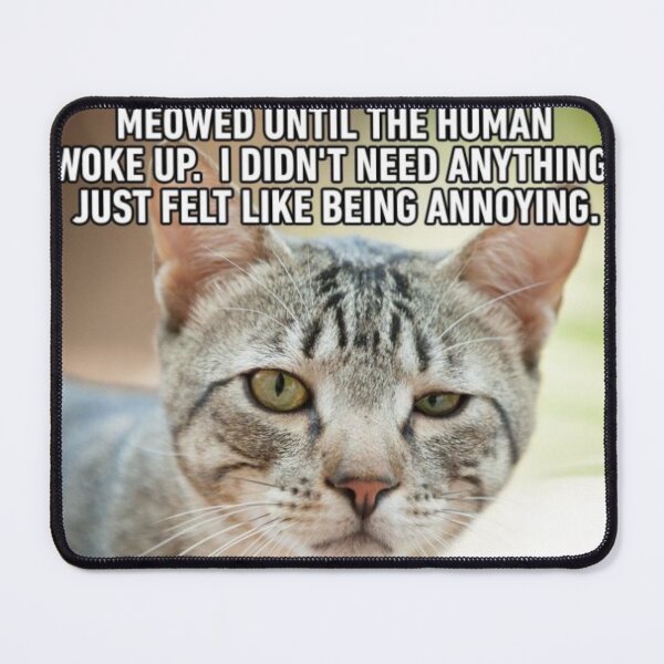 Item preview, Cat Meme 2 designed and sold by MrCsStores.
