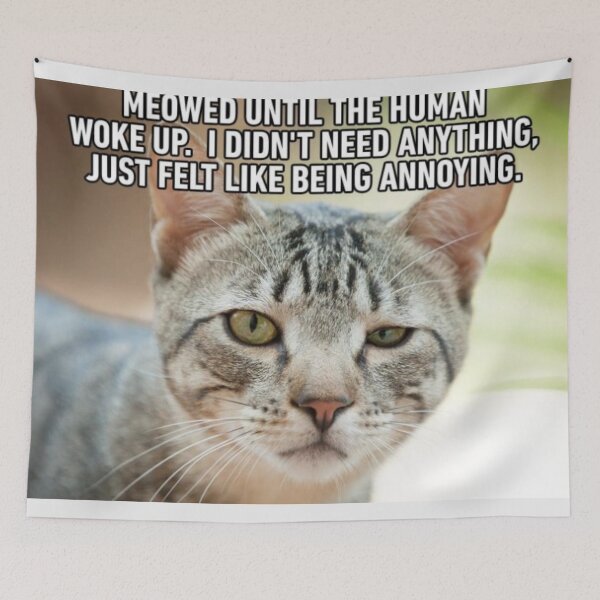 Item preview, Cat Meme 2 designed and sold by MrCsStores.