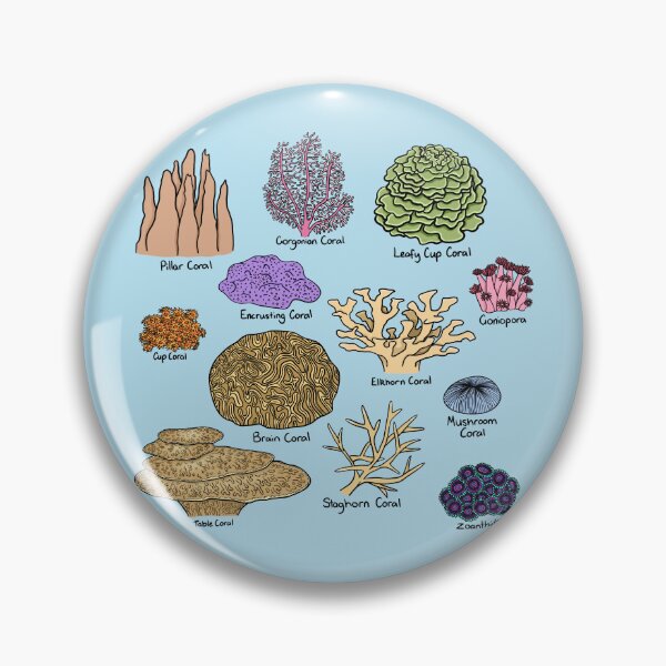 Item preview, Types Of Coral designed and sold by BundaBear.