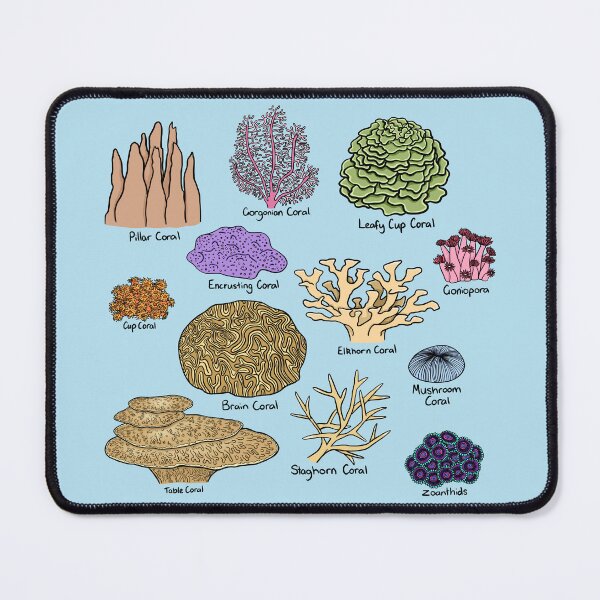 Item preview, Types Of Coral designed and sold by BundaBear.