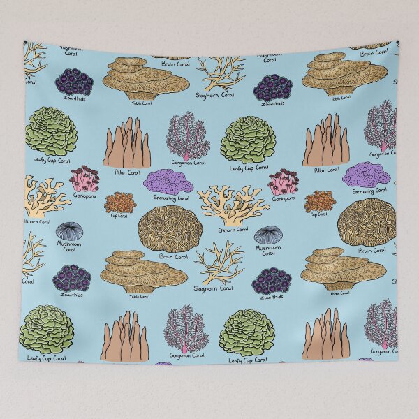 Item preview, Types Of Coral designed and sold by BundaBear.