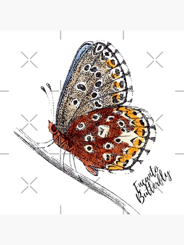 encanto butterfly  Sticker for Sale by DesignByJoreksz