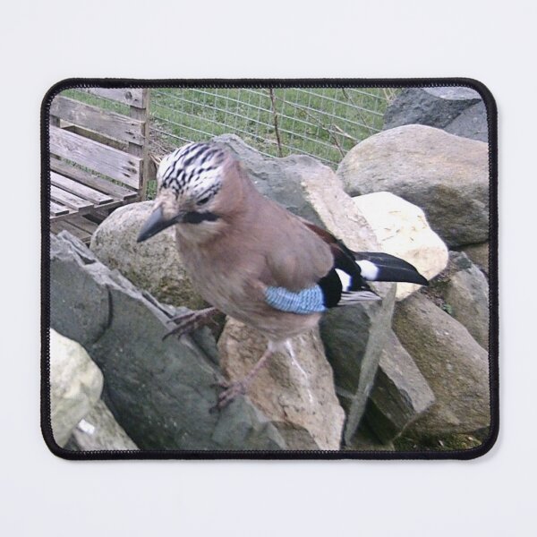 Item preview, jay designed and sold by KathleenDawson.