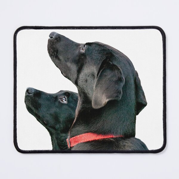 Item preview, Their Masters Voice designed and sold by Dalyndigital Photography.