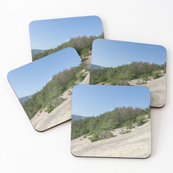 Item preview, Life on Bare Rock - Tenacious Little Trees Growing on a Sheer Rockface designed and sold by Georgia Mizuleva.