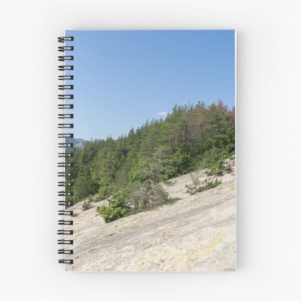 Item preview, Life on Bare Rock - Tenacious Little Trees Growing on a Sheer Rockface designed and sold by Georgia Mizuleva.