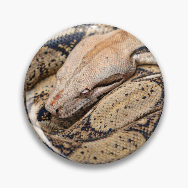 Item preview, Beautiful pattern of an Indian Python designed and sold by Dalyndigital Photography.
