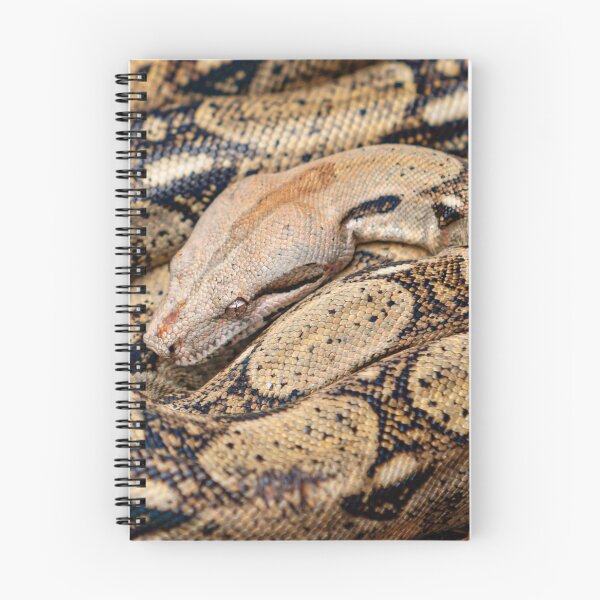 Item preview, Beautiful pattern of an Indian Python designed and sold by Dalyndigital Photography.