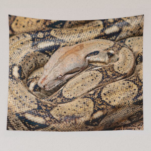Item preview, Beautiful pattern of an Indian Python designed and sold by Dalyndigital Photography.