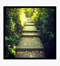 Path to the Light Photographic Print