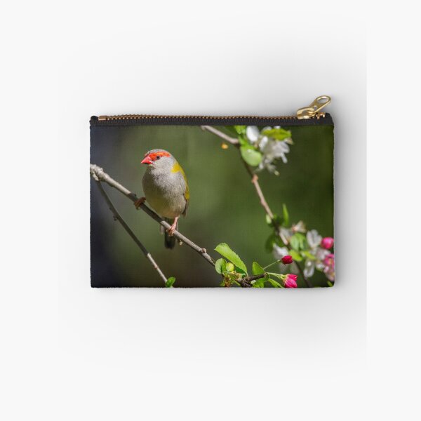 Item preview, Red-browed finch in a crab apple tree designed and sold by ThisMoment.