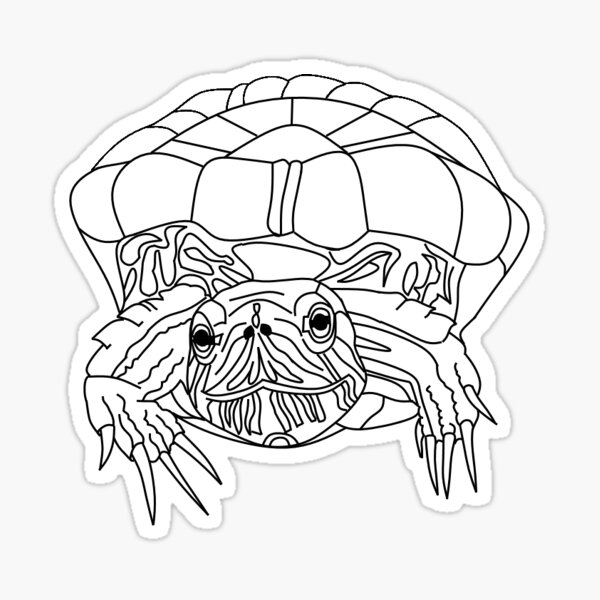 Arthur, the red eared slider turtle (Little RESQ) Sticker