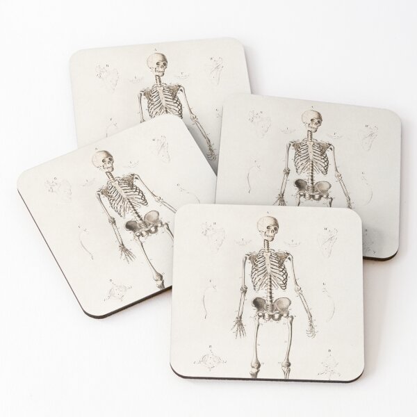 Item preview, Human Skeleton Educational Chart Vintage Anatomy designed and sold by POSTERAMALA.