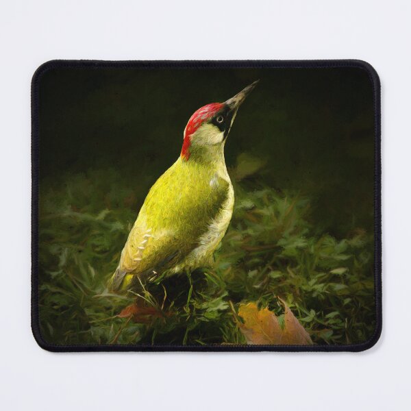 Item preview, Green woodpecker designed and sold by Guardi71.