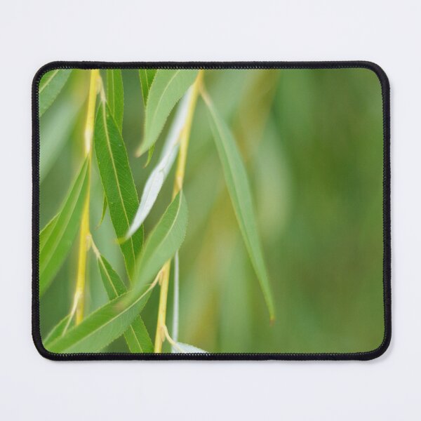 Item preview, Green Bokehlicious Willow Leaves designed and sold by denis-romanov.