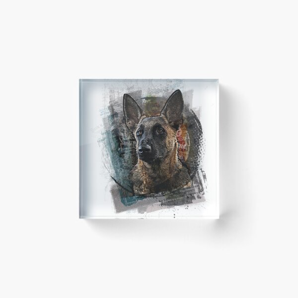 Item preview, Belgian Shepherd Malinois portrait designed and sold by ranker666.