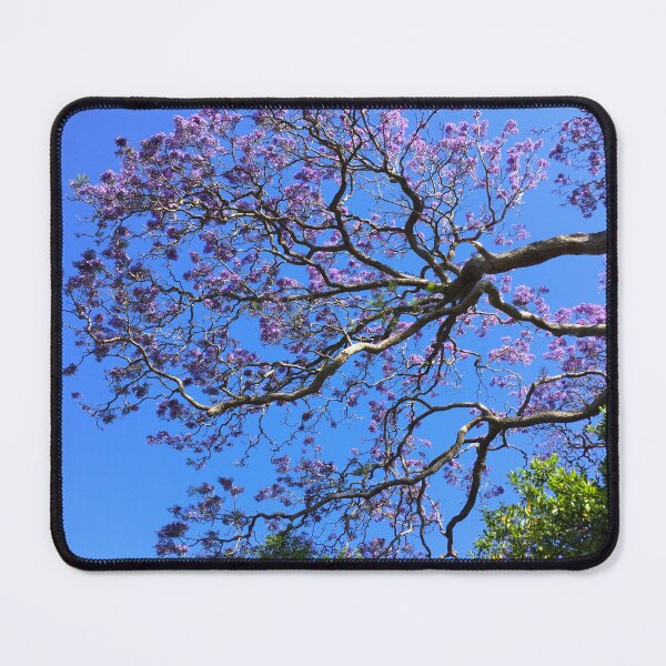 Item preview, Spring 3/3 Jacaranda in Sydney designed and sold by AHELENE.