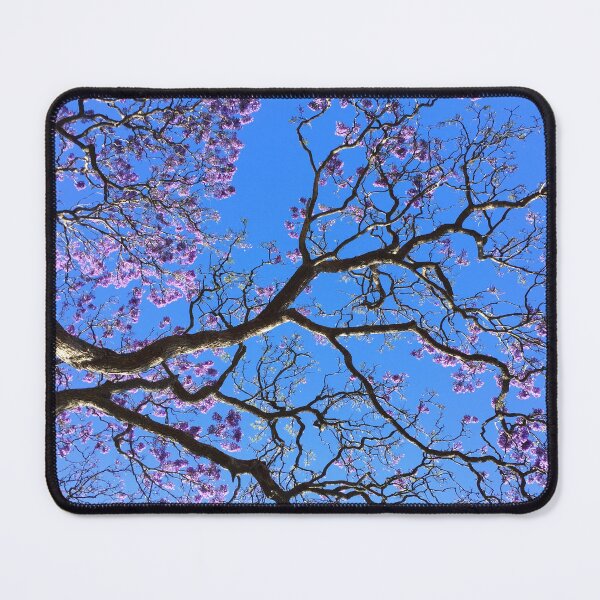 Item preview, Spring 2/3 Jacaranda à Sydney designed and sold by AHELENE.