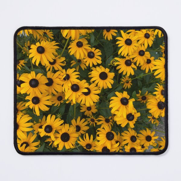 Item preview, Black-eyed Susans designed and sold by Michelle Shustack.
