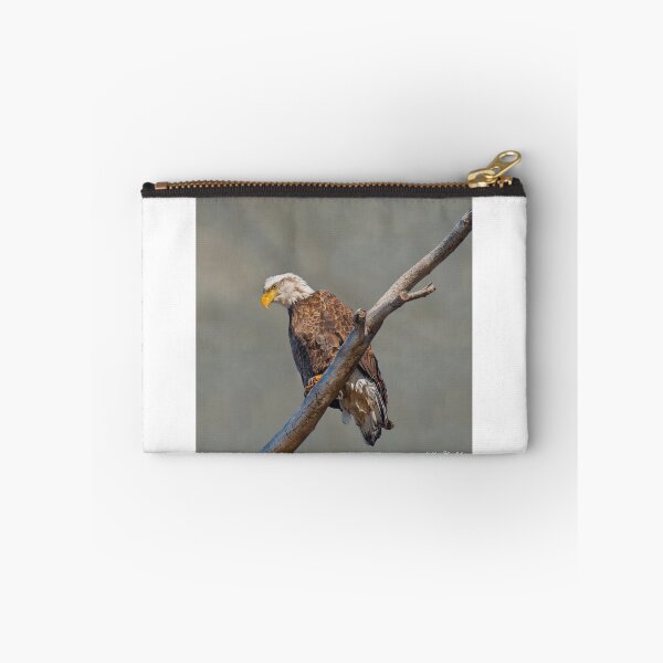 Item preview, Bald Eagle Perched in a Dead Tree designed and sold by Jeff Goulden Photography.