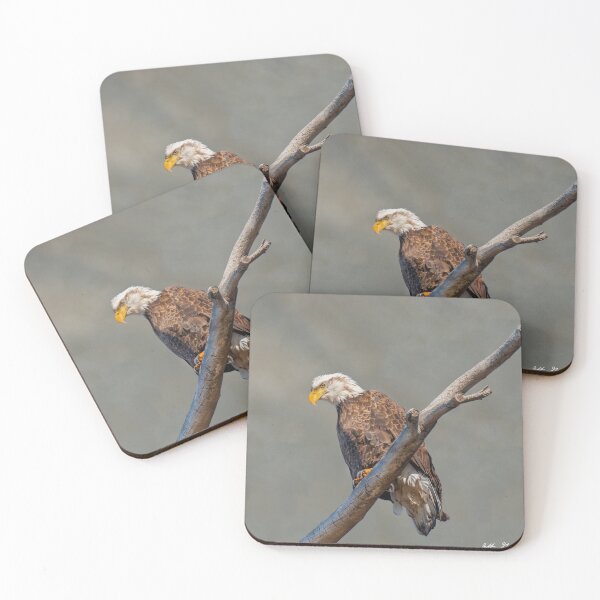 Item preview, Bald Eagle Perched in a Dead Tree designed and sold by Jeff Goulden Photography.