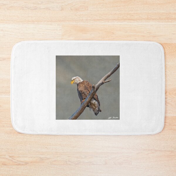 Item preview, Bald Eagle Perched in a Dead Tree designed and sold by Jeff Goulden Photography.