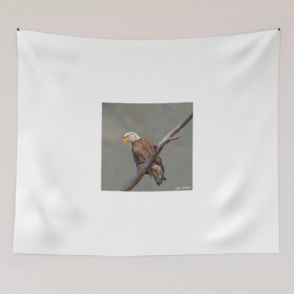 Item preview, Bald Eagle Perched in a Dead Tree designed and sold by Jeff Goulden Photography.
