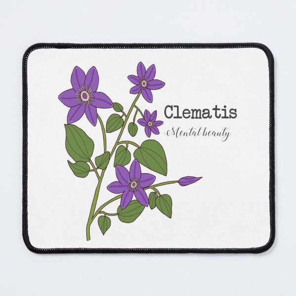Item preview, Clematis (mental beauty) designed and sold by Becky-Marie.