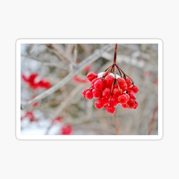 Item preview, High Winter Reds designed and sold by Kathleen Daley.
