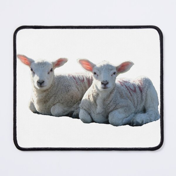 Item preview, Lambs designed and sold by Calidris Fotografie Steffi & Ben Köppler.