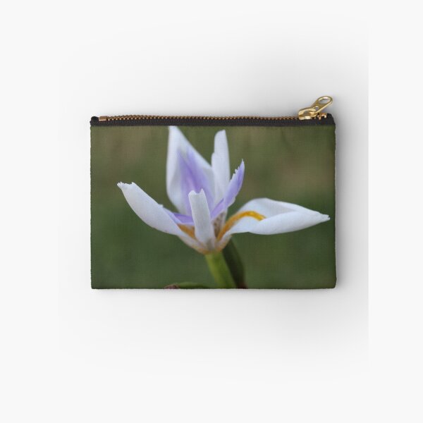 Item preview, Spring has Sprung designed and sold by ErinJain.
