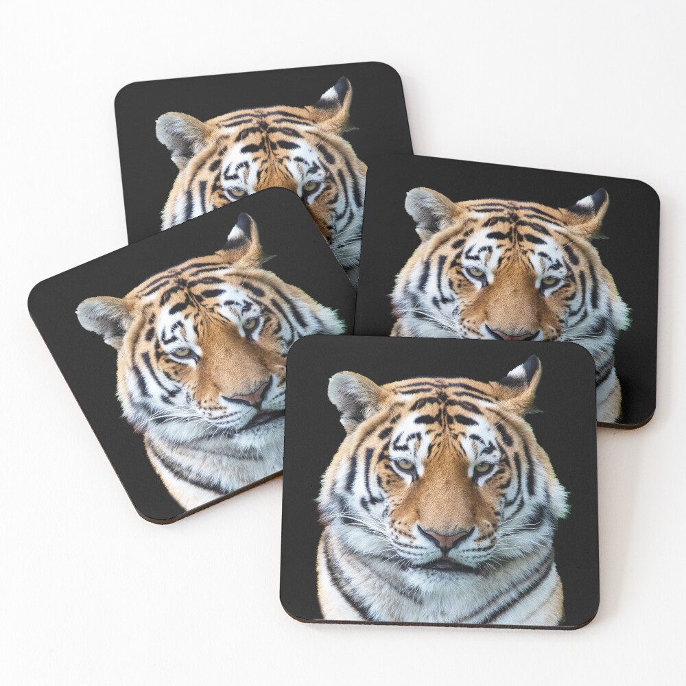 A Tiger Face Coasters (Set of 4)