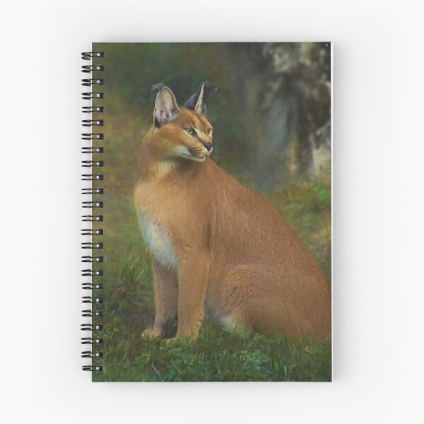 Item preview, Caracal designed and sold by Guardi71.