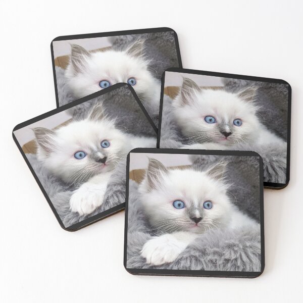 Item preview, Ragdoll kitty designed and sold by Fluffycat2020.