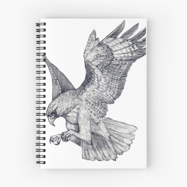 Item preview, Flying Hawk Drawing designed and sold by Lakshya20031.