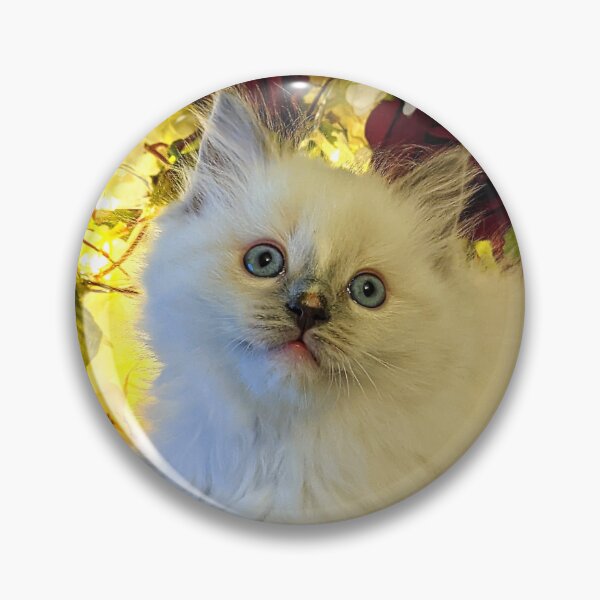 Item preview, Ragdoll kitty designed and sold by Fluffycat2020.