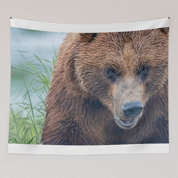 Item preview, Alaska Bear Portrait designed and sold by PhotoArt by Joan Carroll.