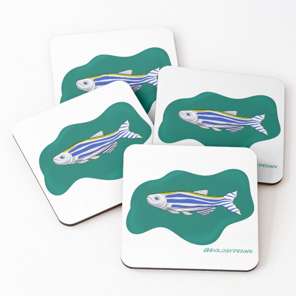 Item preview, Zebrafish designed and sold by BiologyDrawn.