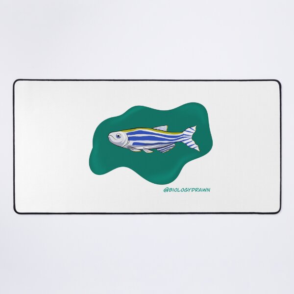 Item preview, Zebrafish designed and sold by BiologyDrawn.
