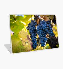 Ripe Laptop Skin