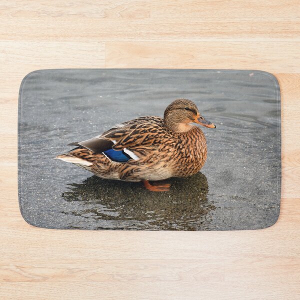 Item preview, Ms. Mallard Female Duck Hen in Evening Light designed and sold by SeaChangeDesign.
