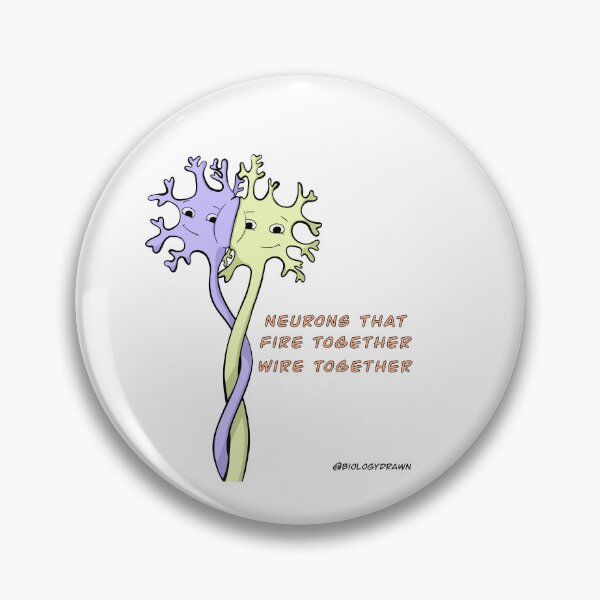 Item preview, Neurons  designed and sold by BiologyDrawn.