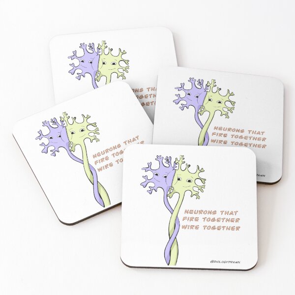 Item preview, Neurons  designed and sold by BiologyDrawn.