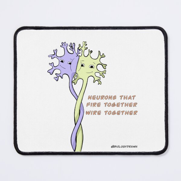 Item preview, Neurons  designed and sold by BiologyDrawn.