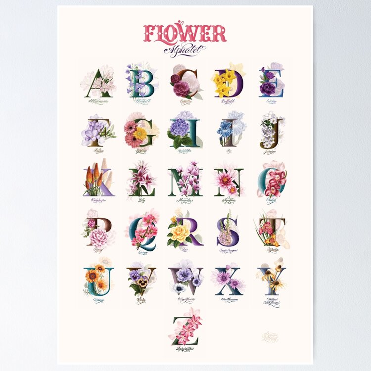 洋書 FLEURS et ALPHABETS FLEURIS 洋書 FLEURS et ALPHABETS FLEURIS Amazon.com: Fleurs et