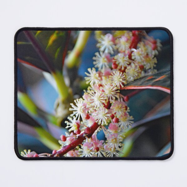 Item preview, Blooming House Plant designed and sold by John Schneider.