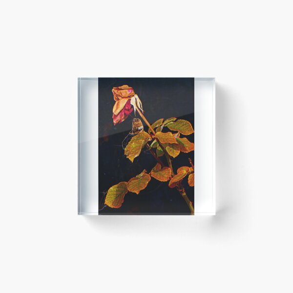 Item preview, Wilted Beauty designed and sold by angel1.
