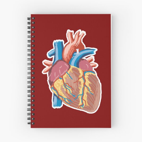 Item preview, Anatomic Heart Rough Sketch designed and sold by Artsy-Chemist.