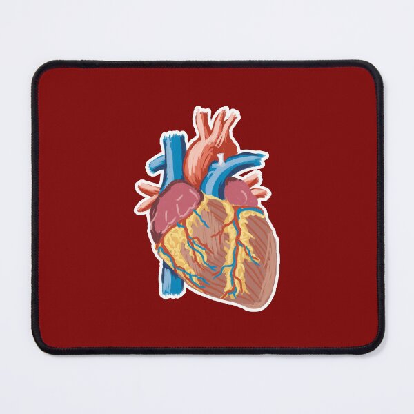 Item preview, Anatomic Heart Rough Sketch designed and sold by Artsy-Chemist.