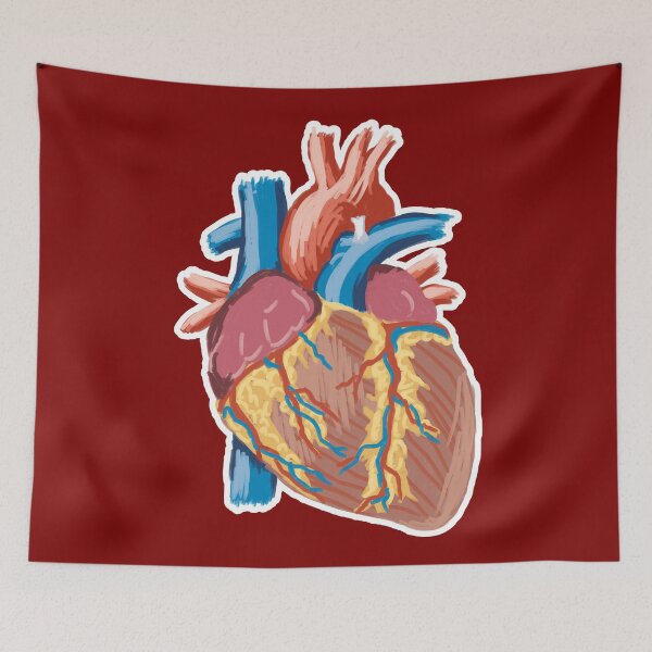 Item preview, Anatomic Heart Rough Sketch designed and sold by Artsy-Chemist.